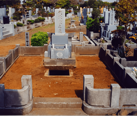 植木・雑草の除去